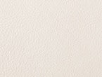 Ivory color