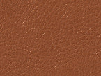 Saddle Brown color