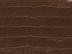 Cocoa Croc color