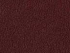 Bordeaux color