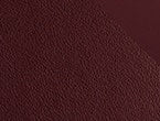 Oxblood color