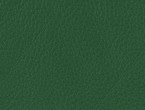 Fairway Green color